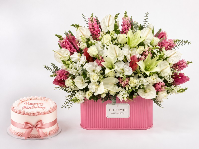 باکس گل و 8020