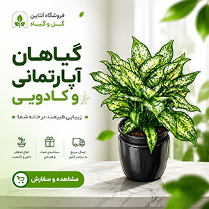 گیاهان آپارتمانی