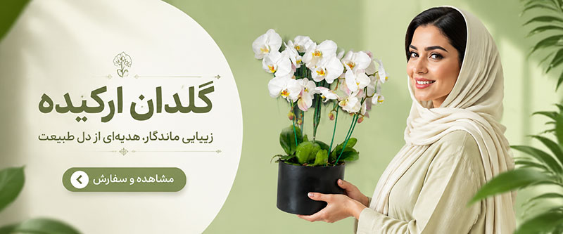 گلدات ارکیده